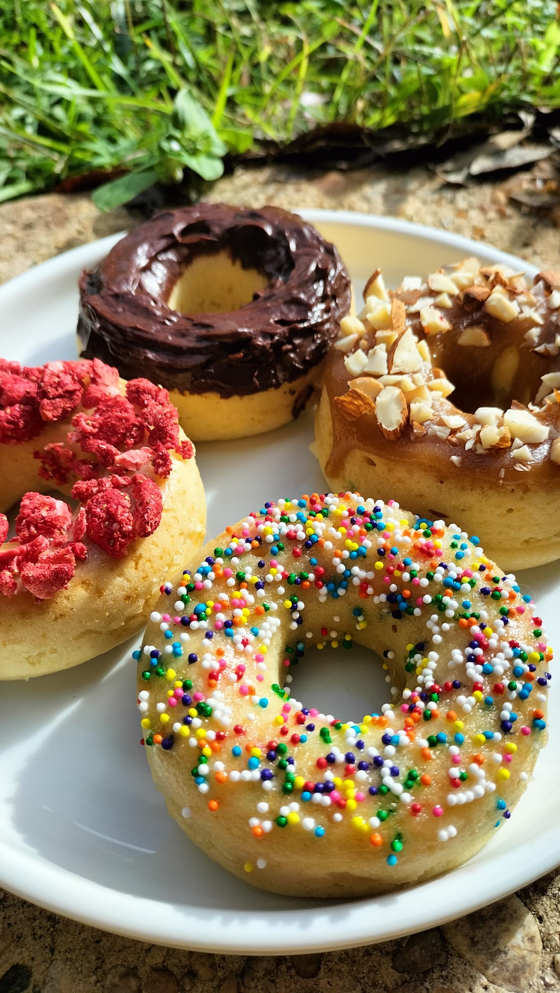 AMERICAN DONUTS con frosting e toppings vari
